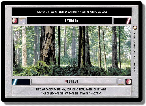 Forest (Light)