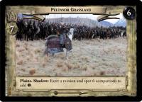 lotr tcg return of the king foils pelennor grassland foil