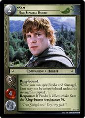 lotr tcg battle of helms deep sam nice sensible hobbit