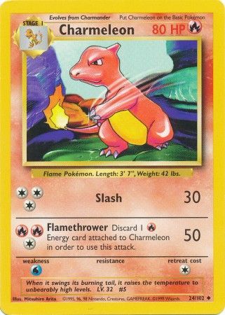 Charmeleon 24-102 - Unlimited