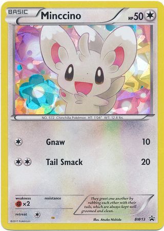 Minccino - BW13 - Shattered Holo