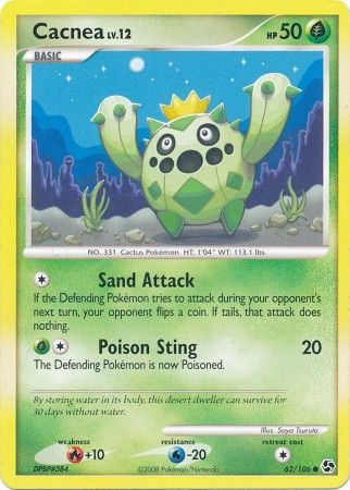 Cacnea - 62-106