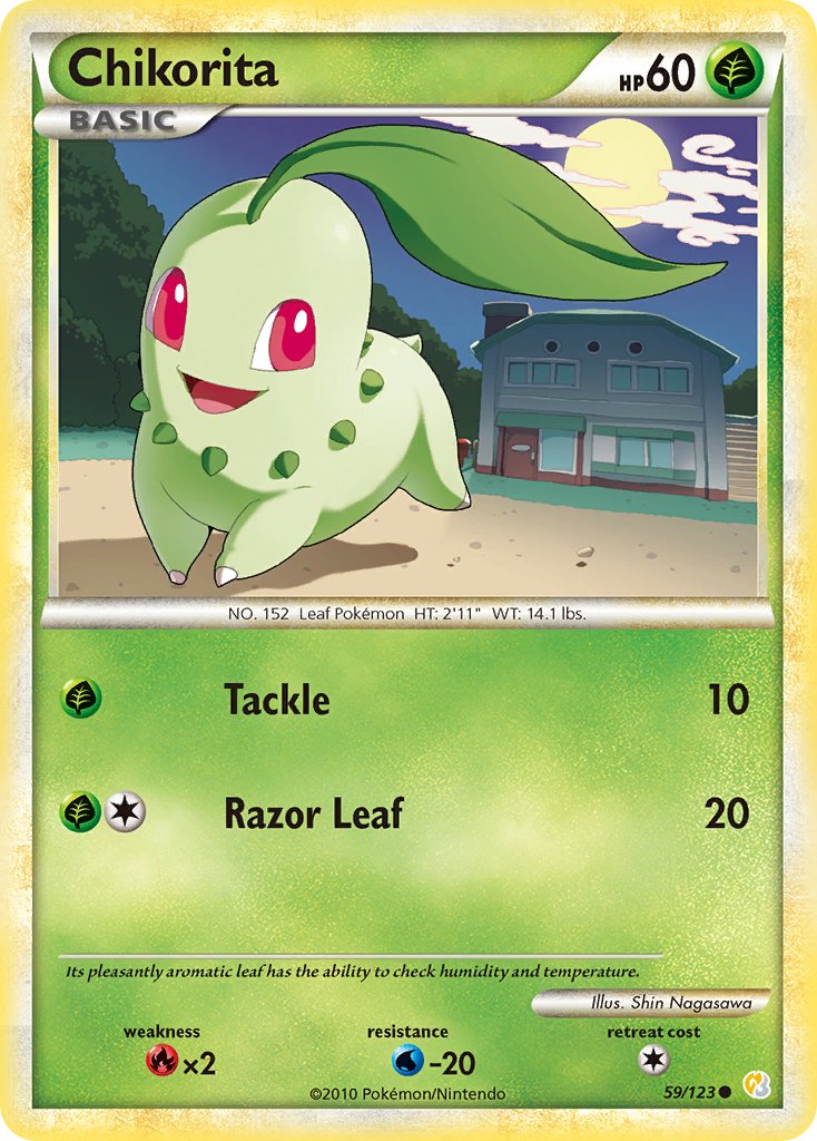 Chikorita 59-123 (RH)