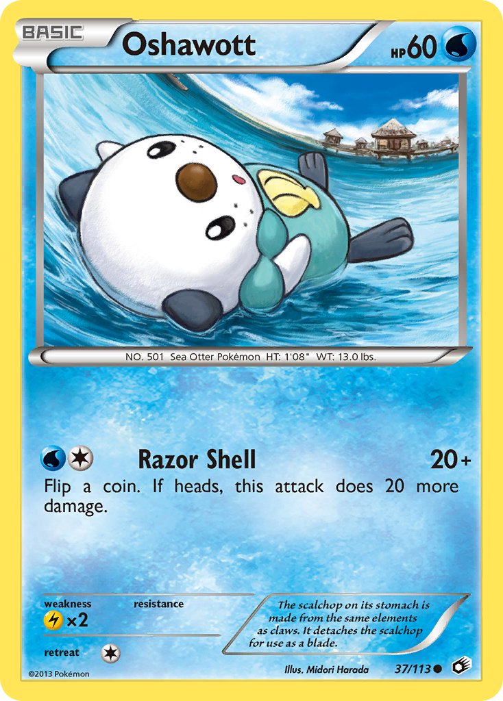 Oshawott 37-113 (RH)