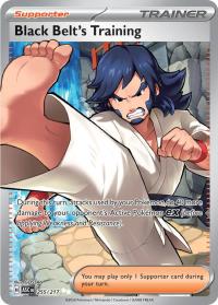 pokemon me ascended heroes black belt s training 255 217 full art