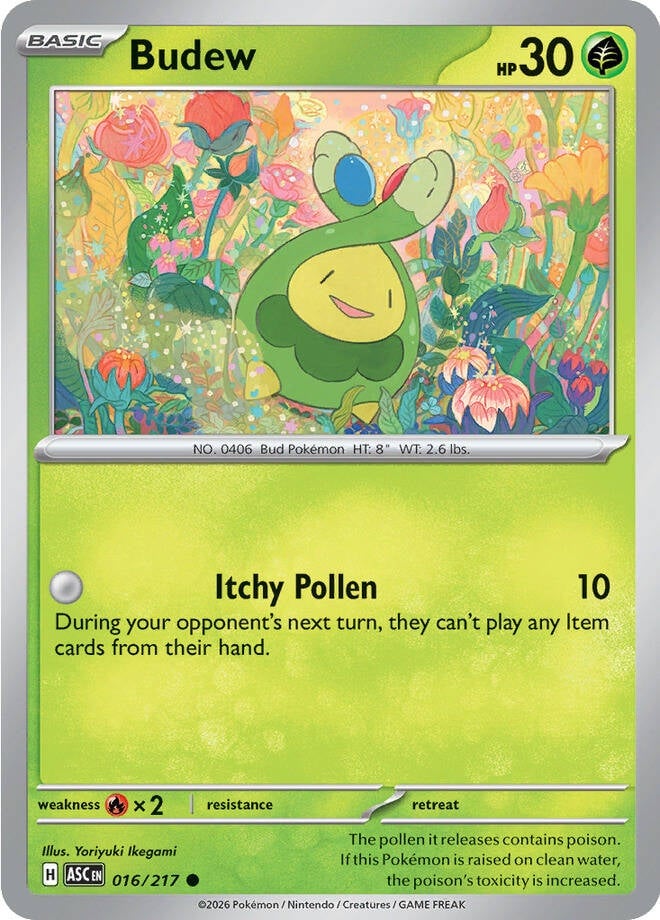 Budew - 016-217