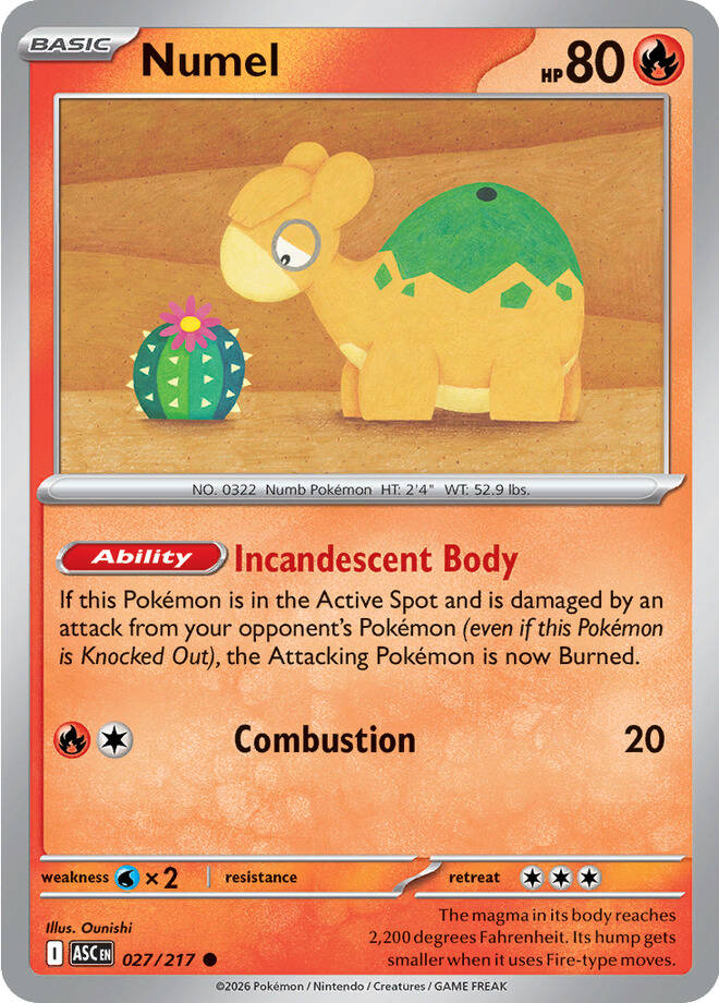 Numel - 027-217