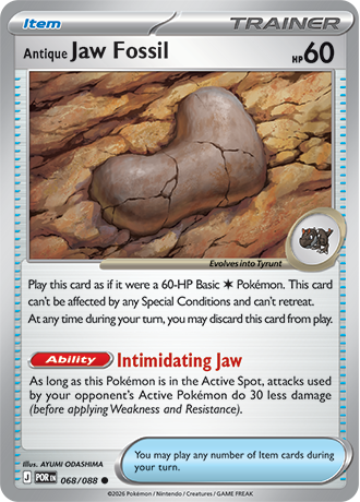 Antique Jaw Fossil - 068-088