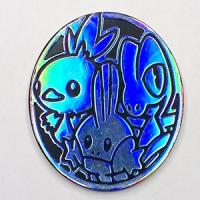 pokemon pokemon pins coins accesories coin hoenn region