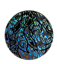pokemon pokemon pins coins accesories jumbo coin hisuian zoroark