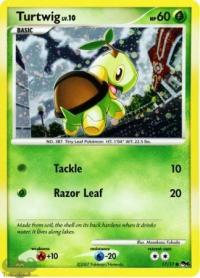 pokemon pop series 6 turtwig 17 17 holo