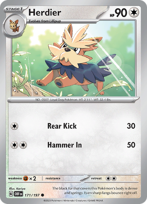 Herdier - 171-197 (RH)