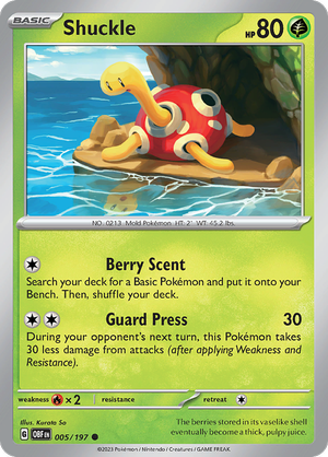 Shuckle - 005-197