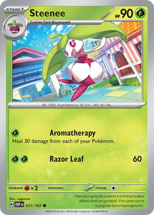 Steenee - 017-197