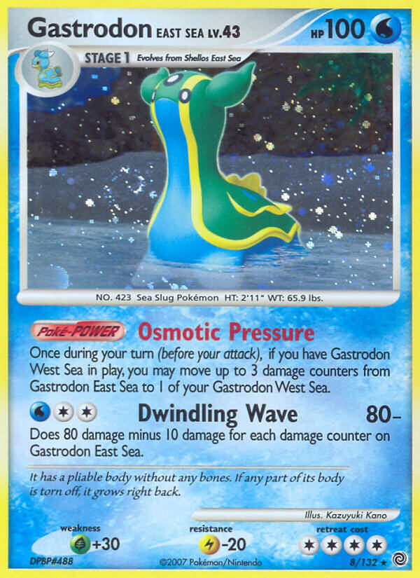 Gastrodon East Sea - 8-132 