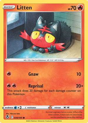 Litten - 030-195