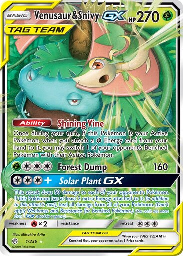 Venusaur & Snivy GX 1-236