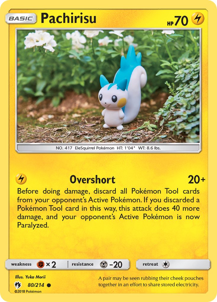 Pachirisu 80-214 (RH)