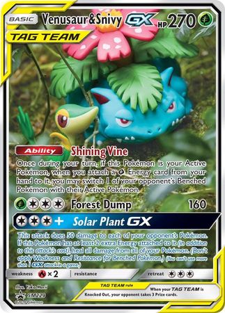 Venusaur & Snivy GX - SM229