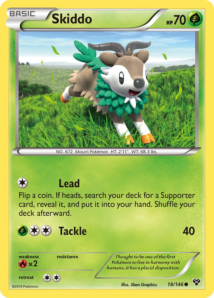 Skiddo 18-146 (RH)