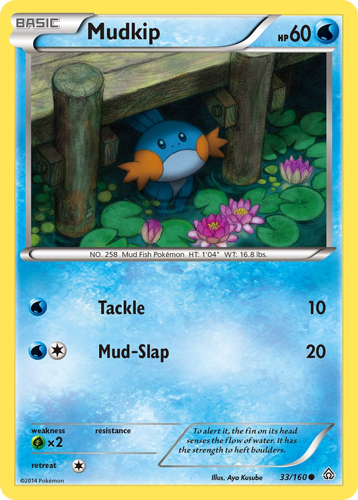 Mudkip 33-160 (RH)