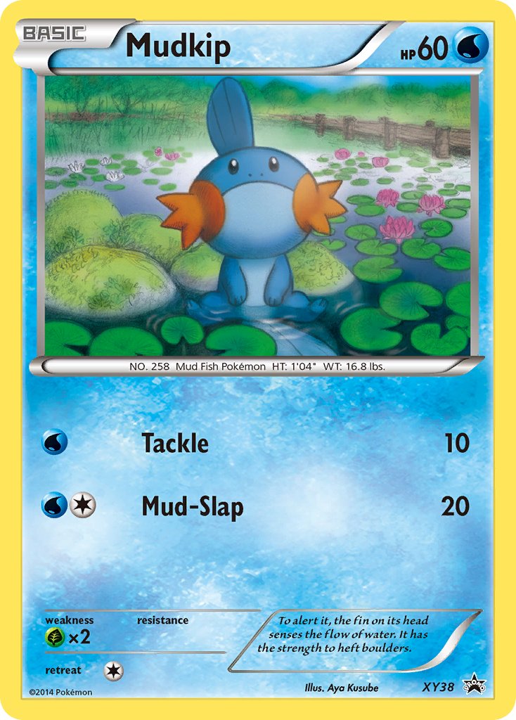 Mudkip - XY38