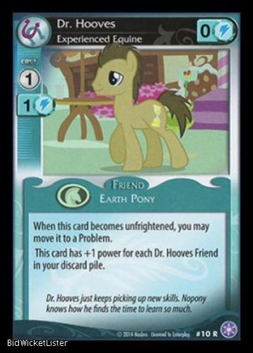 Dr. Hooves, Experienced Equine 